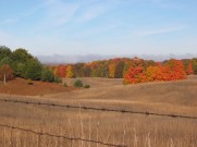 Autumn Fields